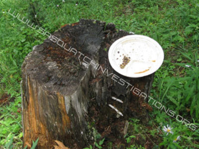 Bigfoot Plate Empty