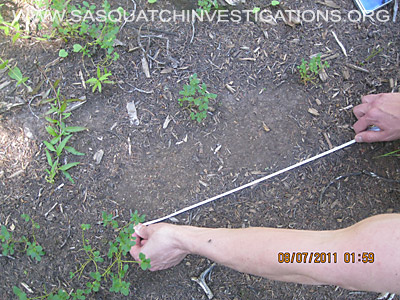 Bigfoot Research In Northwest Colorado 2011 - Footprints