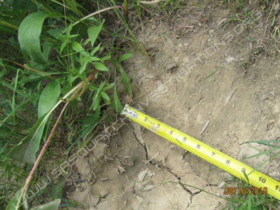 Bigfoot Footprint Image Nineteen Close