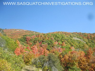 Sasquatch Research In Utah September 2012 - 1