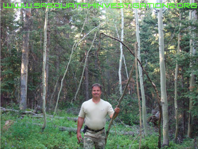 Bigfoot Tree Breaks - Sasquatch Research in Colorado