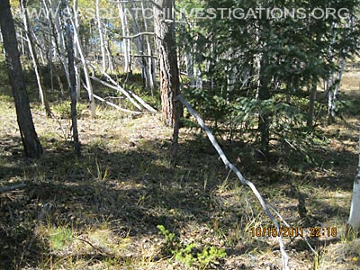 Central Colorado Bigfoot Research 03