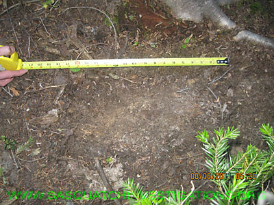 Bigfoot Colorado Research Footprint NW040