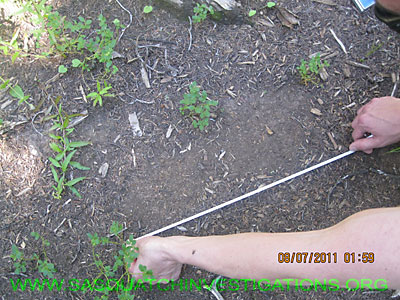 Bigfoot In Colorado Research Footprint NW044