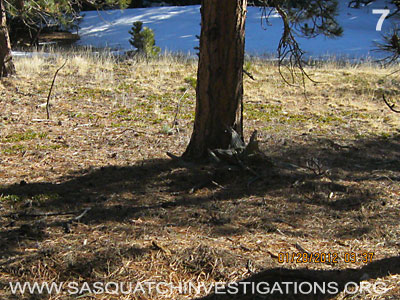 Bigfoot Research Rampart Range Picture 7