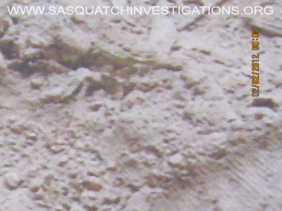 Sasquatch Footprint Ridges Close Up Picture