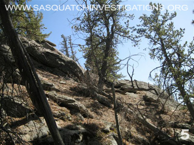 Sasquatch Research Trip Central Colorado 032512 Picture 5