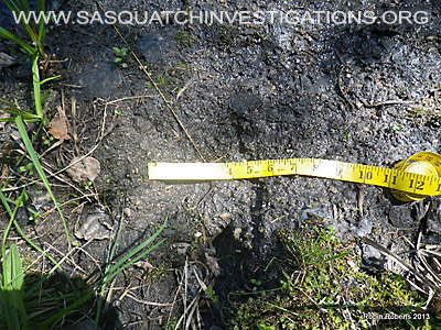 Central Colorado Bigfoot Footprint 07-21-13 1