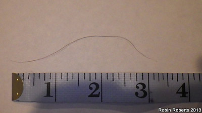 Big foot hair sample 062813 3