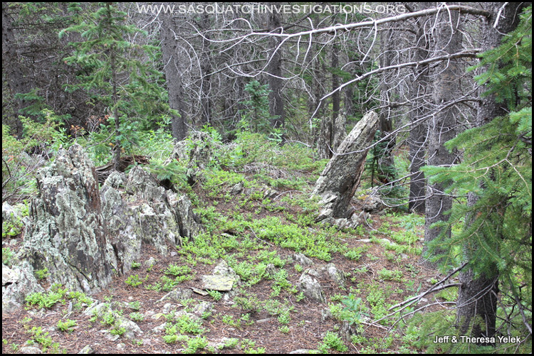 Bigfoot sighting in Colorado 07-20-15 picture 1