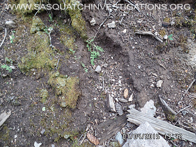 Sasquatch Footprints 2187