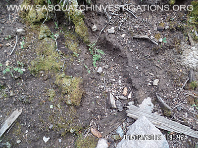 Sasquatch Footprints 2188