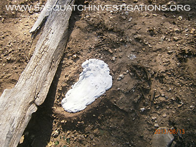 Sasquatch Footprints in Colorado 08-16-13 2