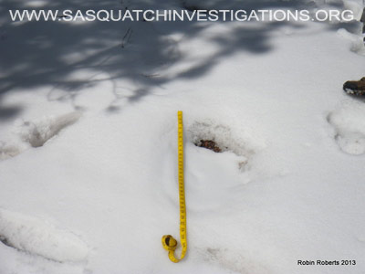 Sasquatch Research In Colorado Field Report 03-25-13 3