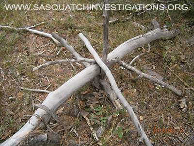 Colorado Squatch Tree Structures 081613 7