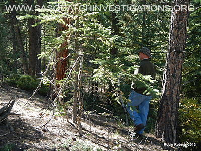Central Colorado Bigfoot Research Field Report October 2013 2