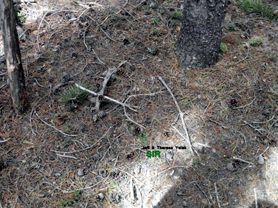 Sasquatch Investigations of the Rockies 05-04-14 Field Report 2