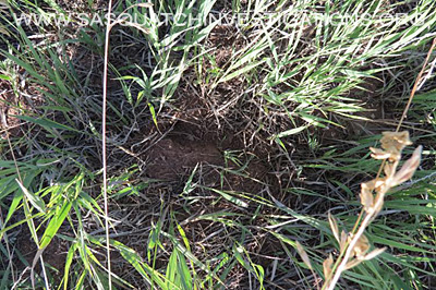 Bigfoot Colorado Field Report footprints 08-14-14 2