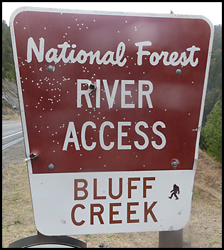 Bigfoot Observations at Bluff Creek 1