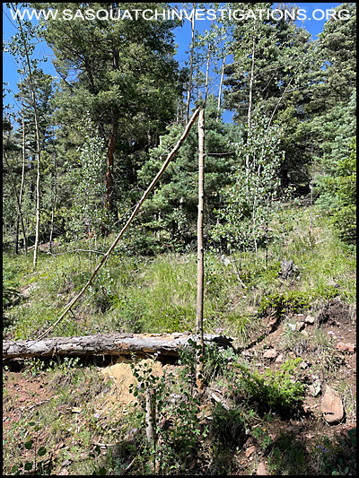 Southern Colorado Tree Structure Photo Four 09/02/24